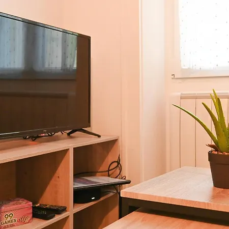 L'albizia #hyper-centre #marche Couvert アパート コニャック